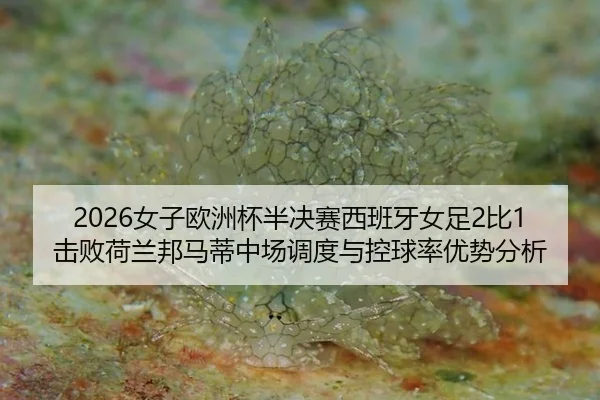 nv-zi-ou-zhou-bei-ban-jue-sai-xi-ban-ya-nv-zu-bi-ji-bai-he-lan-bang-ma-di-zhong-chang-diao-du-yu-kong-qiu-lv-you-shi-3-211.jpg