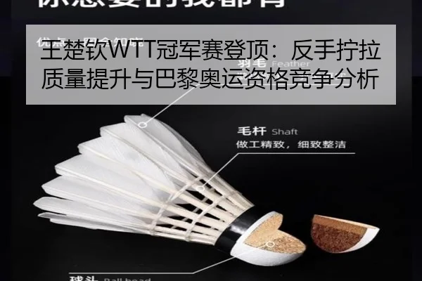 王楚钦WTT冠军赛登顶：反手拧拉质量提升与巴黎奥运资格竞争分析